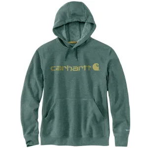 Carhartt Force® Delmont Signature Graphic Hooded Sweatshirt